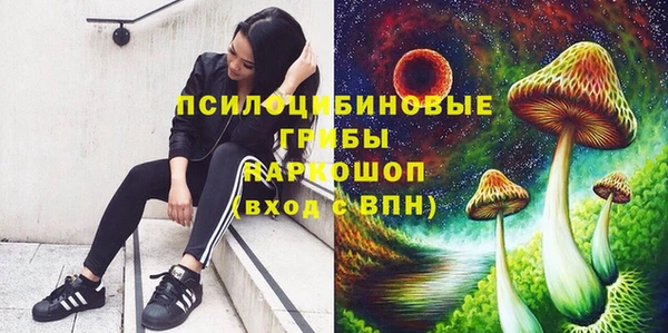 прущие крисы Нефтегорск