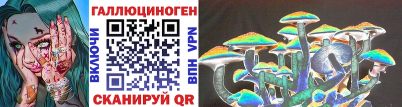 Купить где  Спасск  Псилоцибиновые грибы GOLDEN TEACHER 